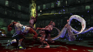 Illustration for article titled We're Up To Our Elbows In Splatterhouse Screens, Blood